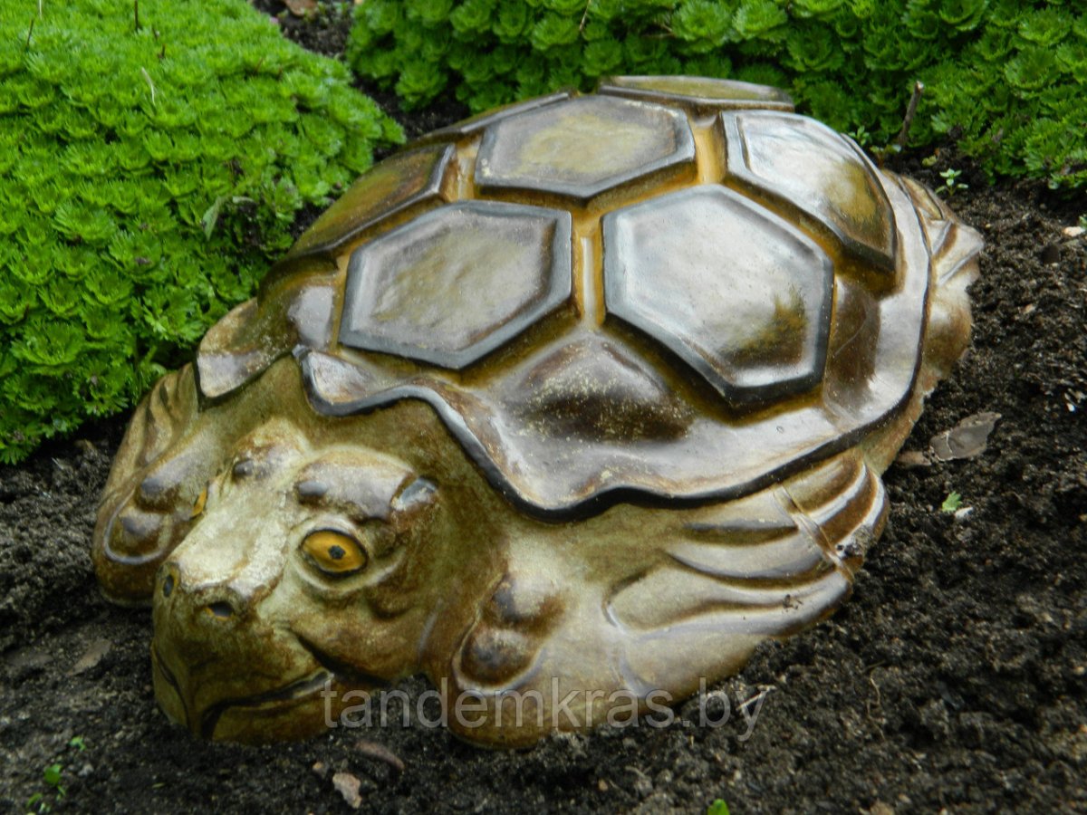 Черепаха из цемента