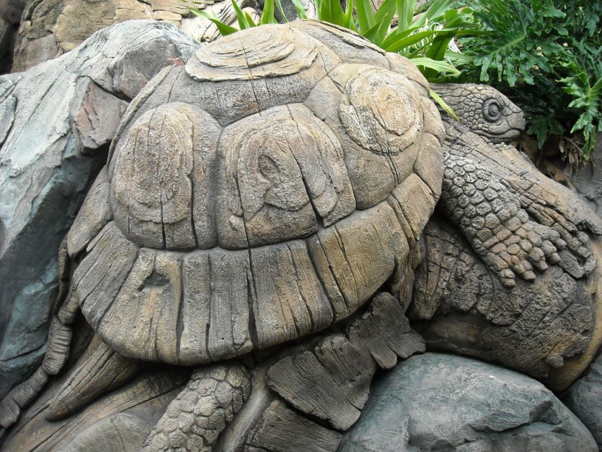 Черепашка из цемента