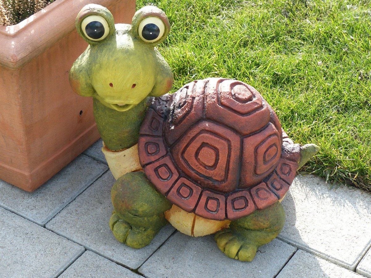 Черепаха в саду