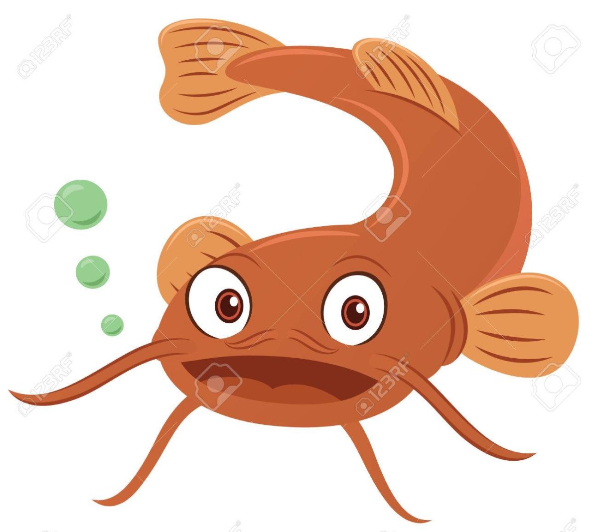 Сом на прозрачном фоне