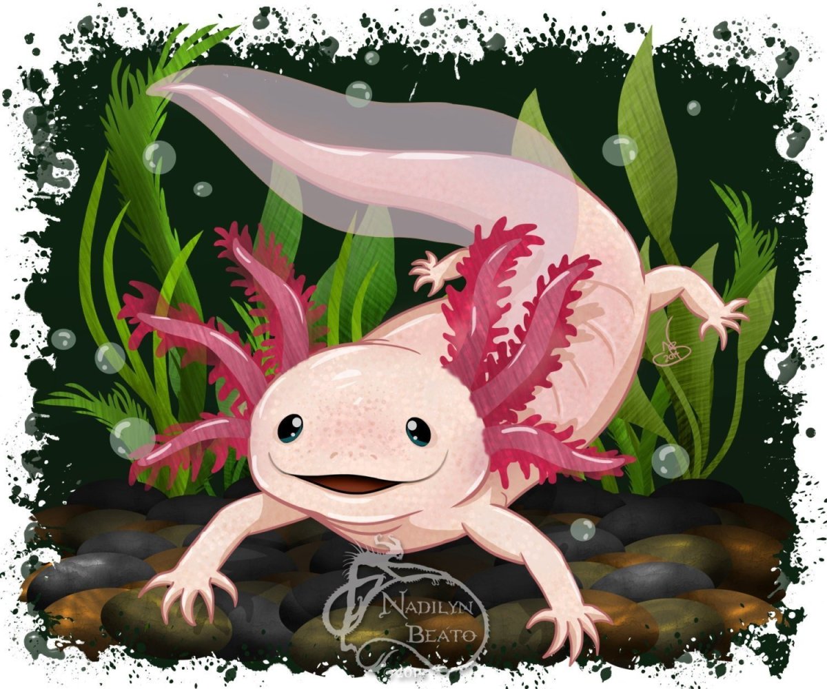 Лунтик заставка