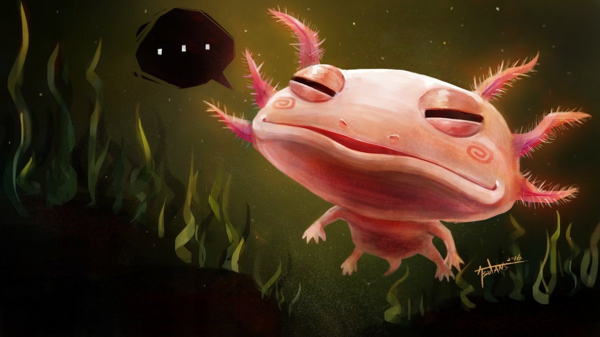 Аксолотль альбинос