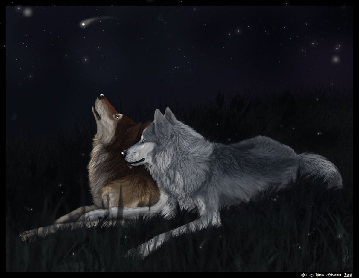 Волк уходит от волчицы