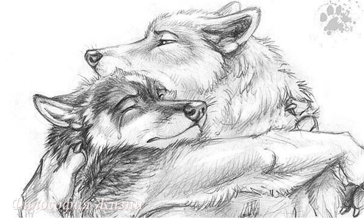 Влюблённый волк уже не хищнек