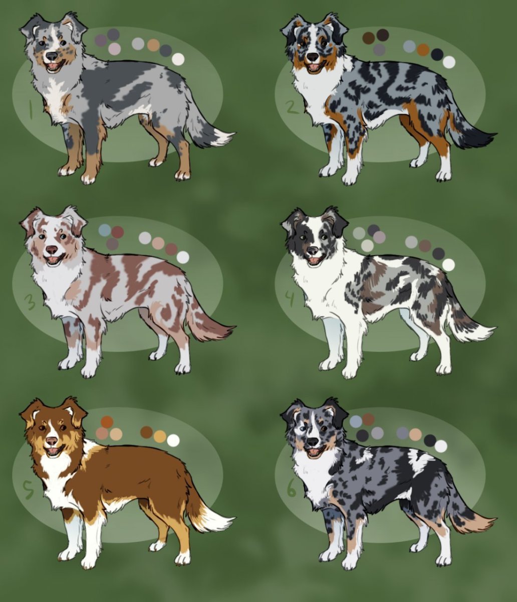 Плакаты с собаками