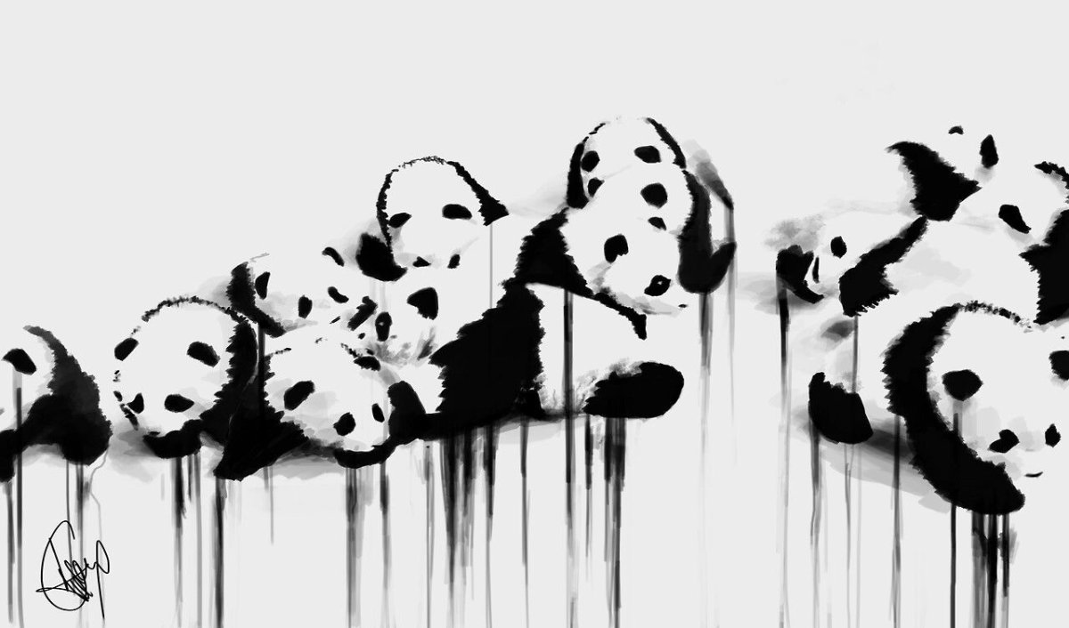 Черно белые обои