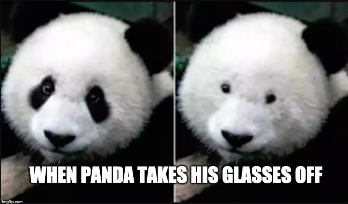 Большая белая Панда