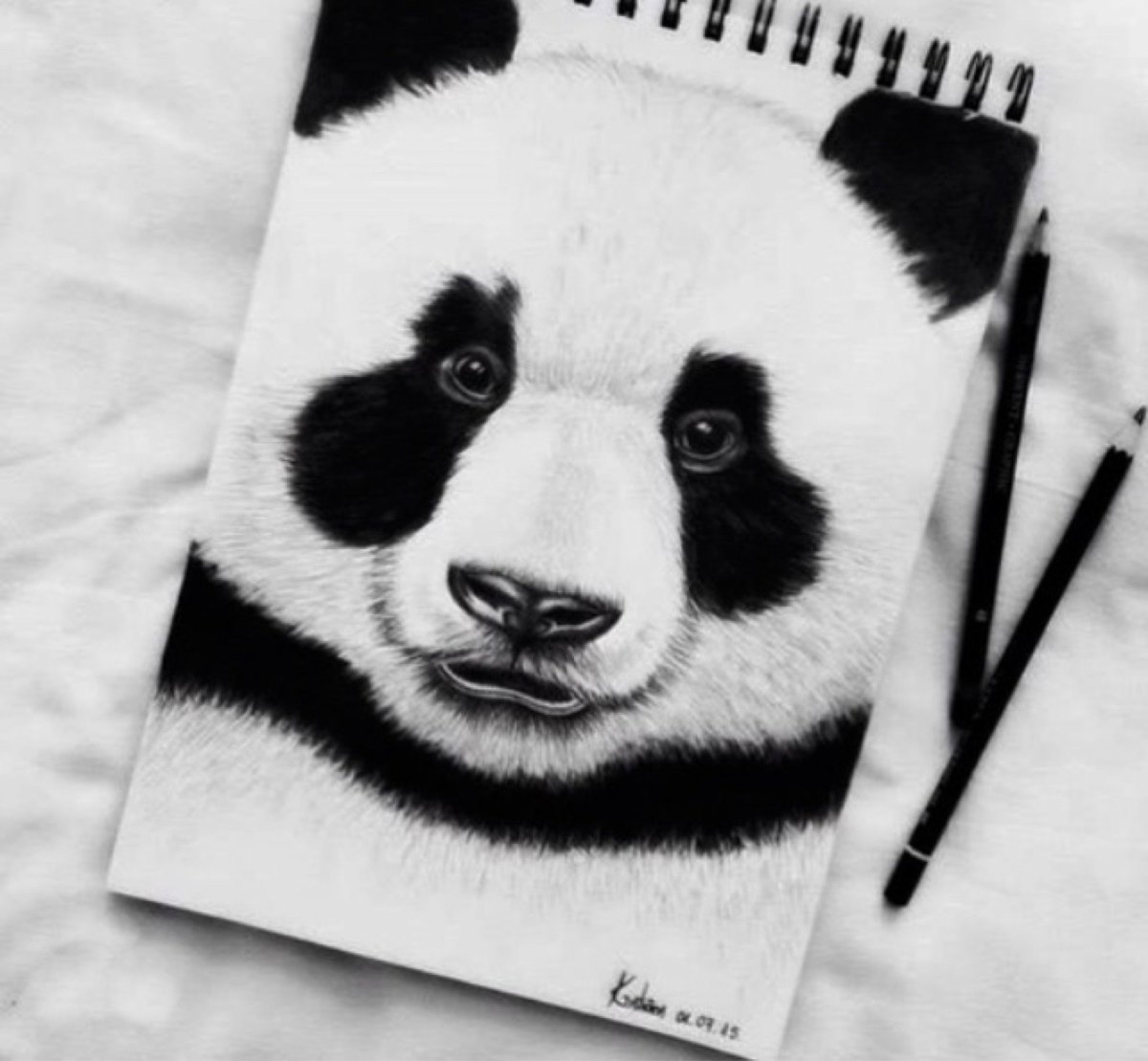 Панда без черных кругов под глазами