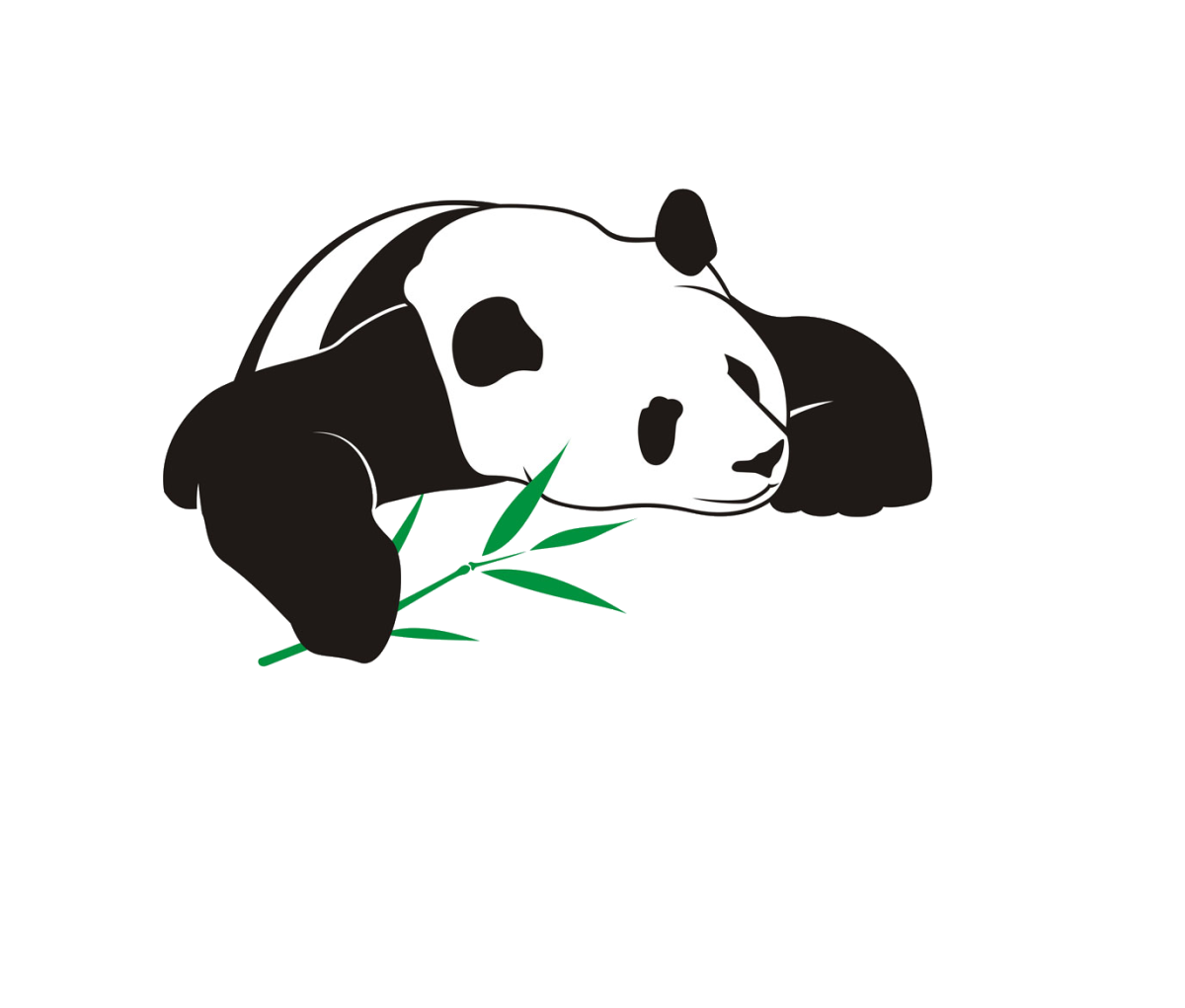 Большая Панда (Ailuropoda melanoleuca).