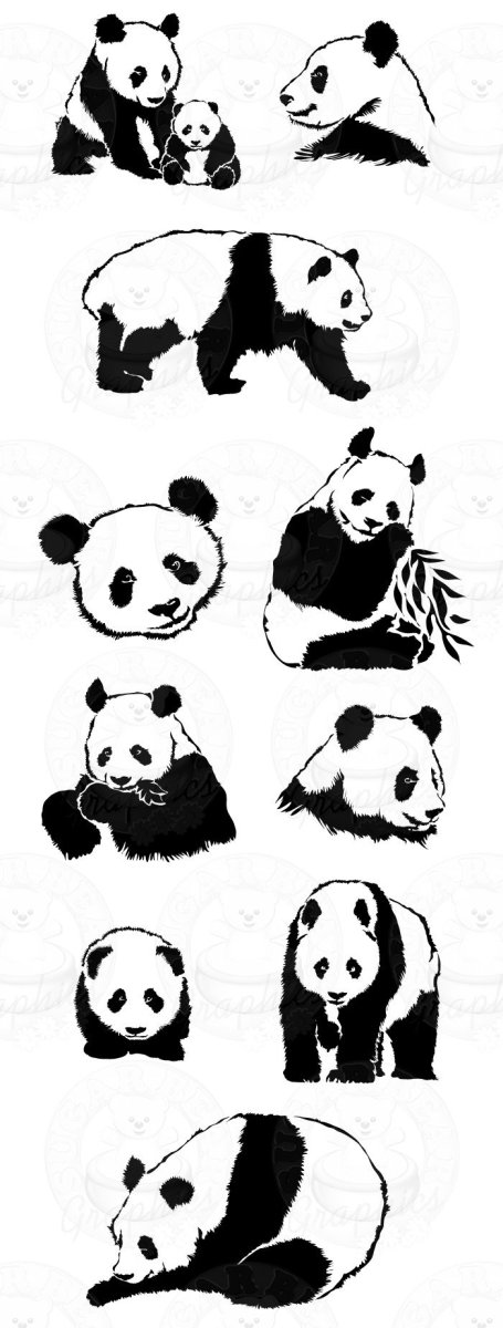 Панда из 3 медведей Эстетика