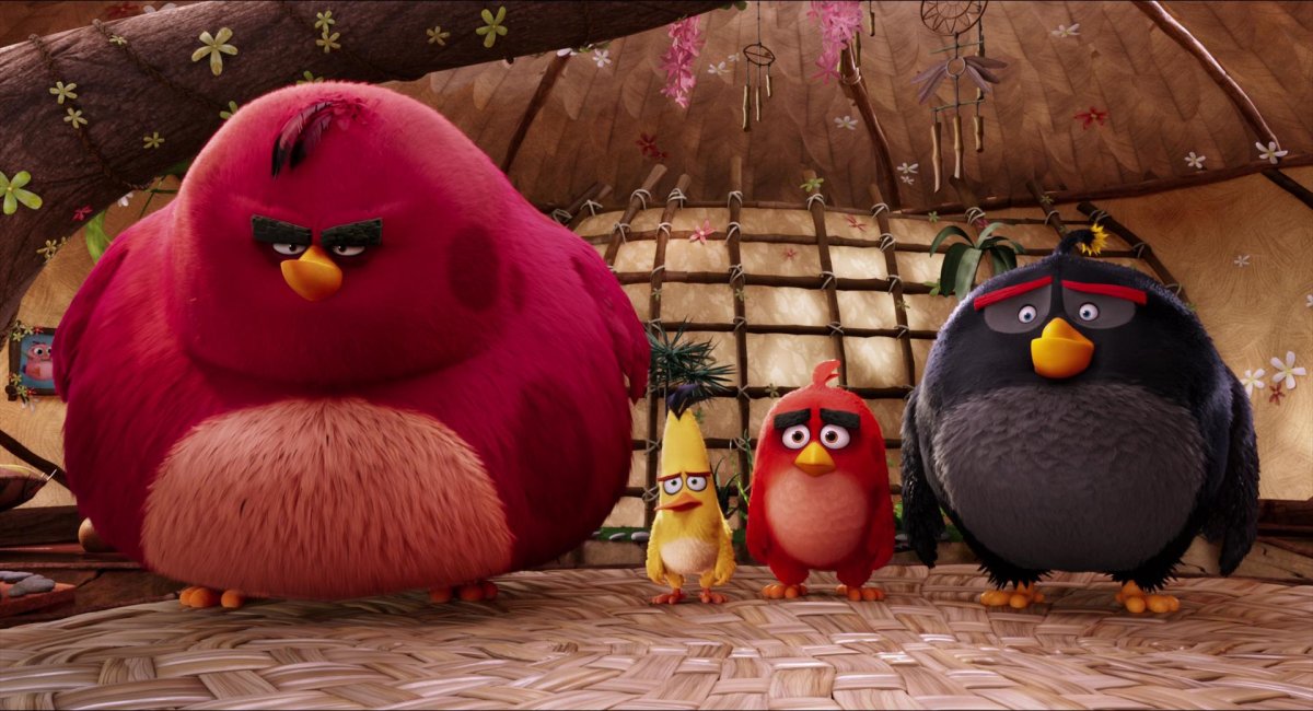 Домики животных в природе