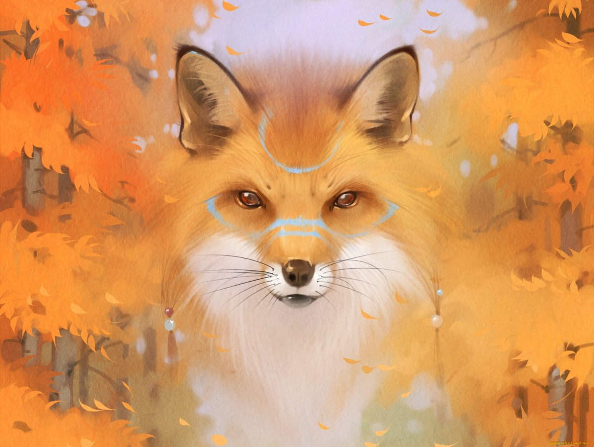 Фон для рабочего стола лиса