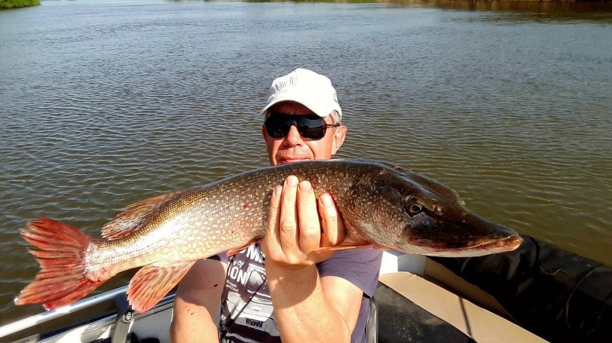 Щука на живца