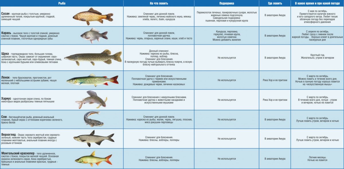 Щука обыкновенная малек