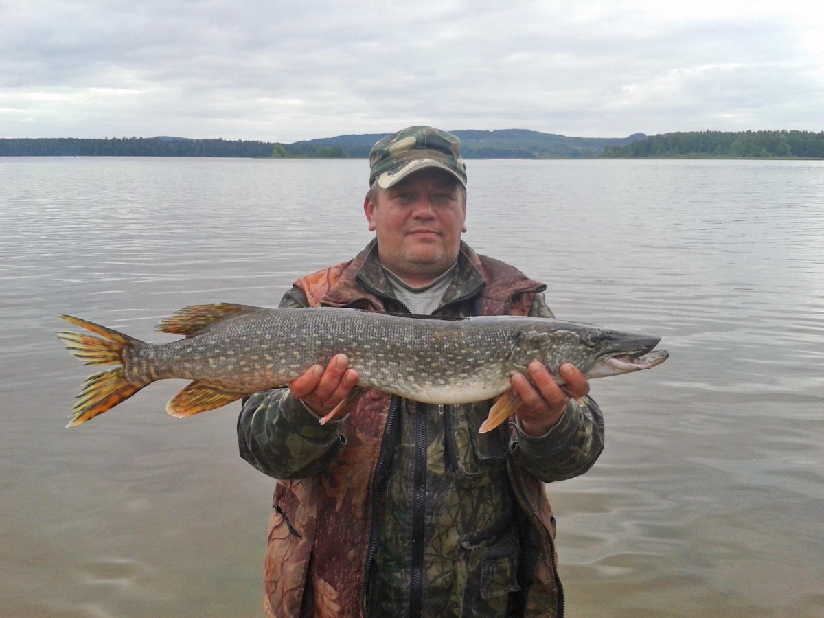 Река Кама рыбы