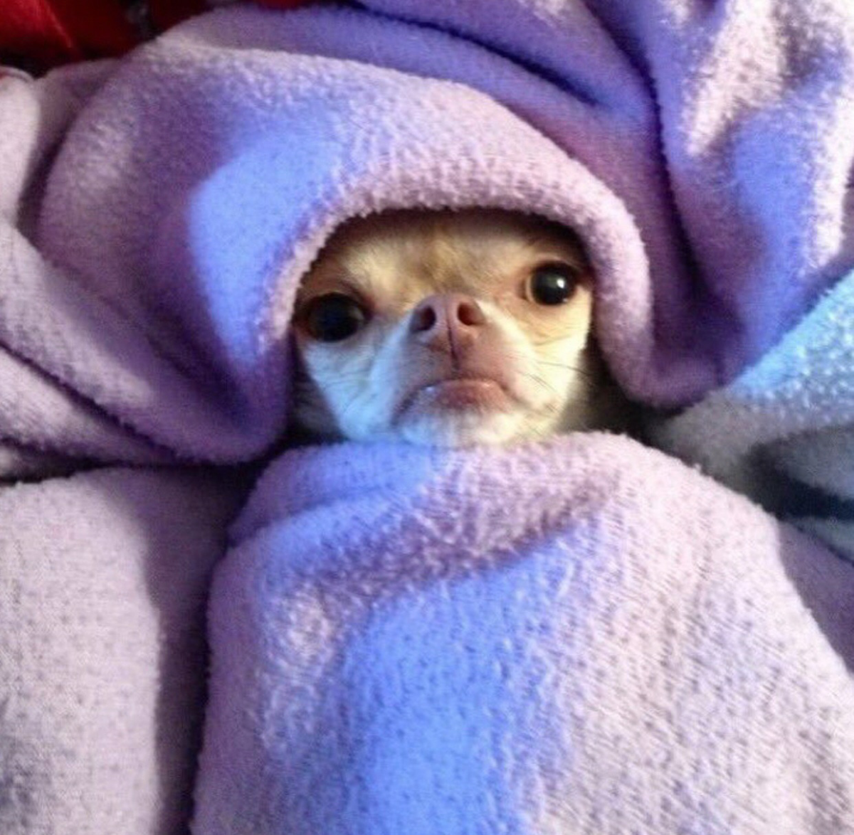 Обезьянка на одеялке