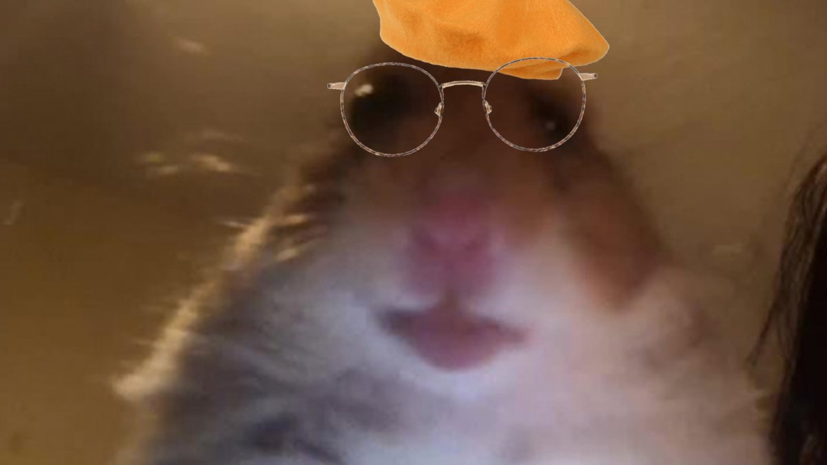 Хомяк на аву