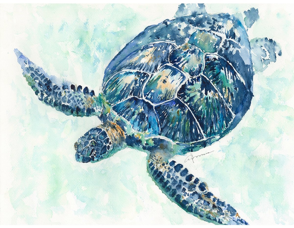 Картины по номерам морская черепаха