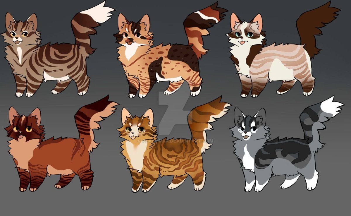 Коты Воители окрасы