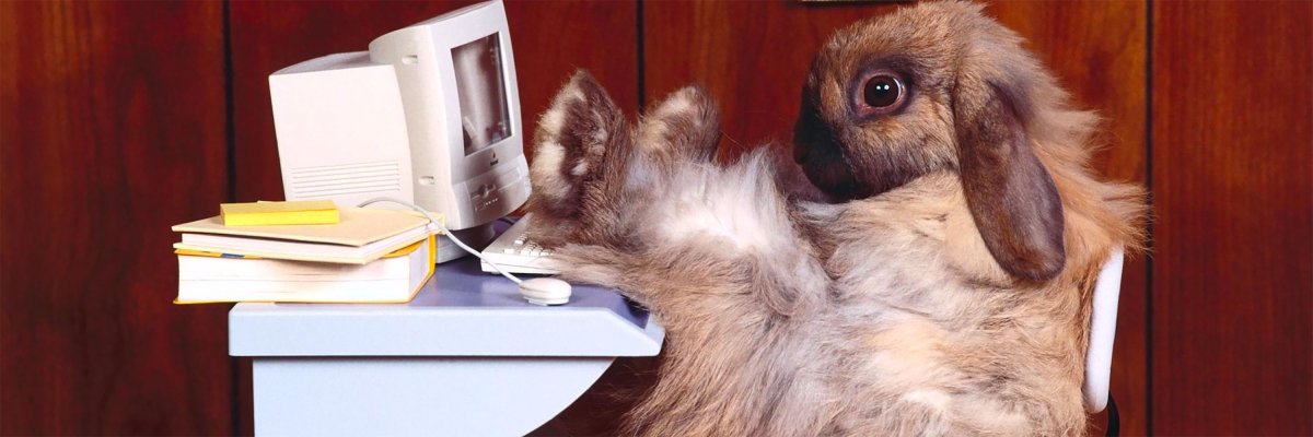 Кролик в сене