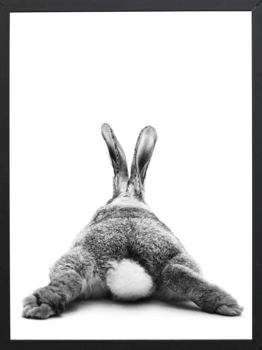 Скромный Зайка