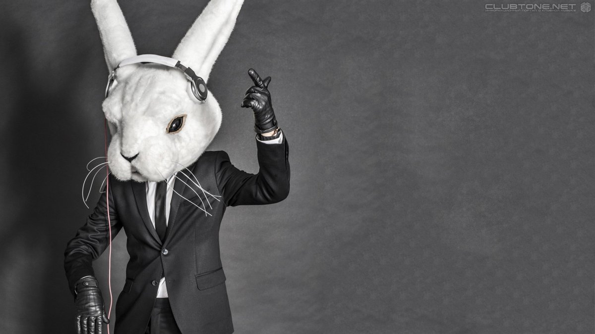 Много зайчиков