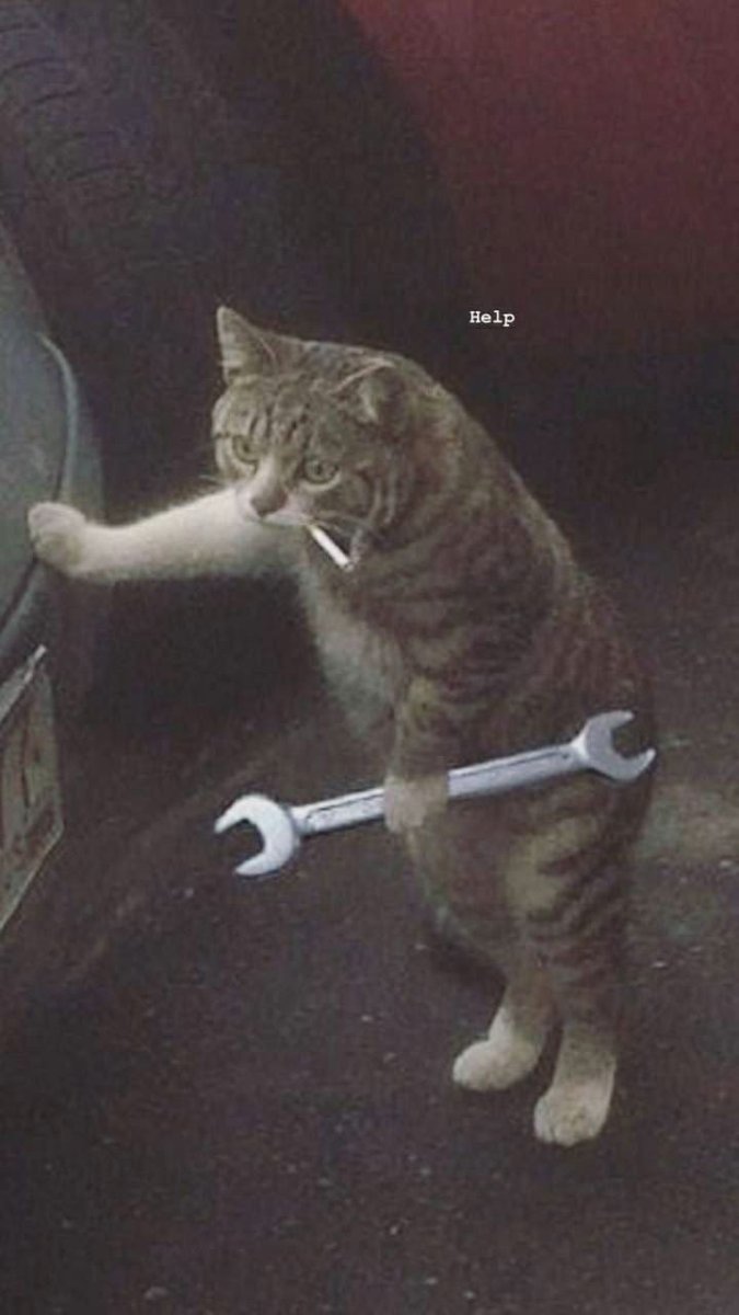 Кот механик