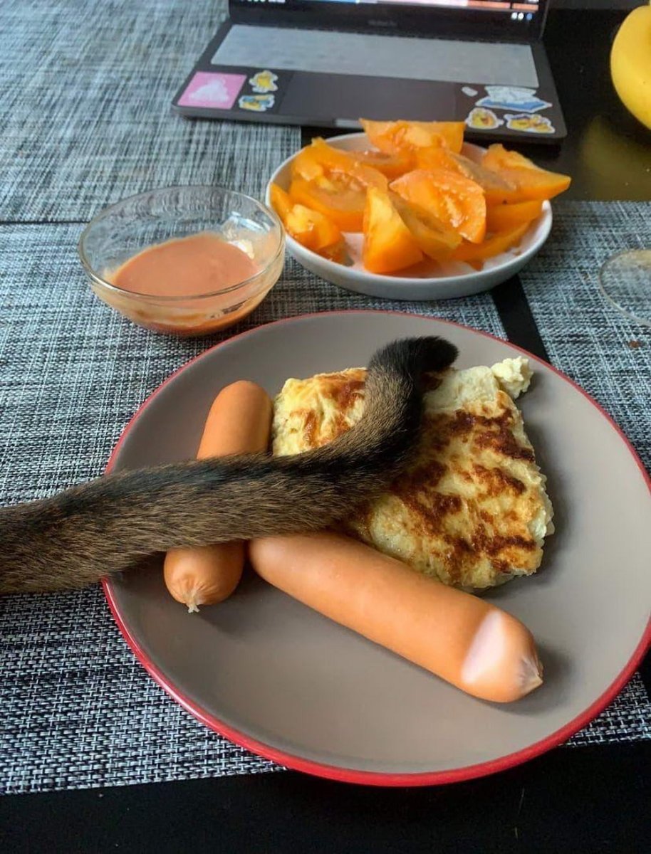 Завтрак с котом