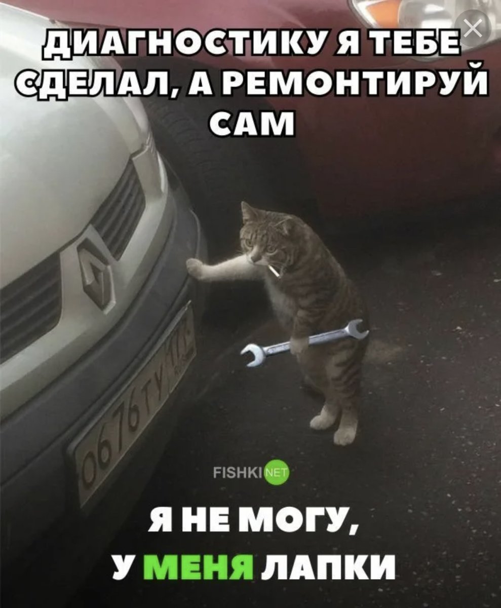 Я не могу у меня лапки