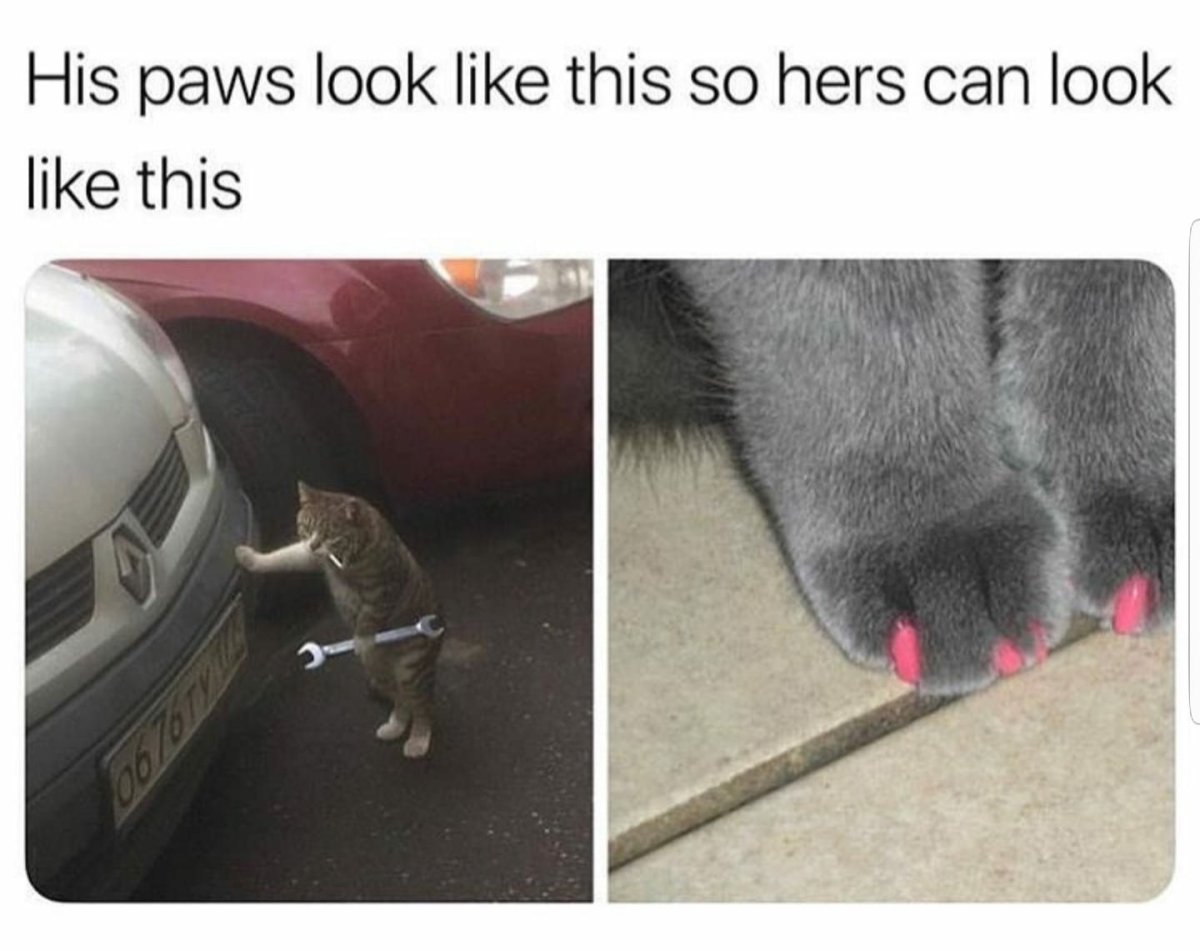 Кот с гаечным ключом