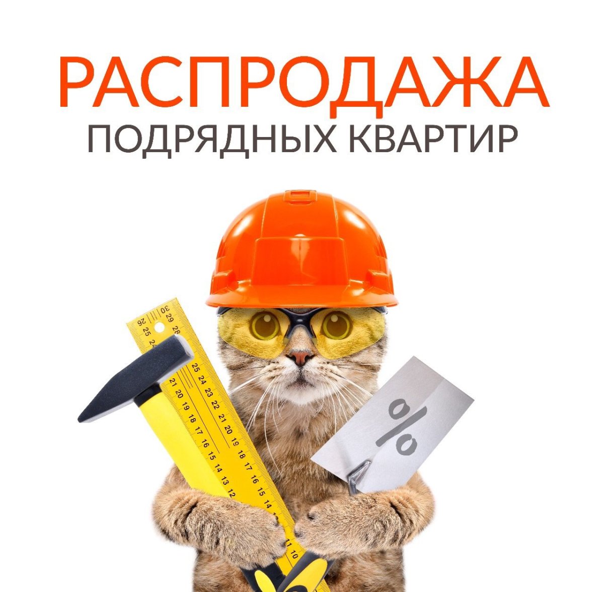 Котик в строительной каске