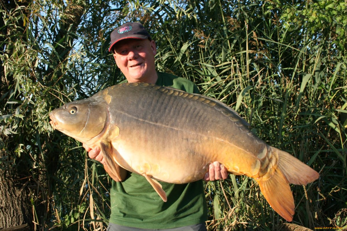 Душман рыба