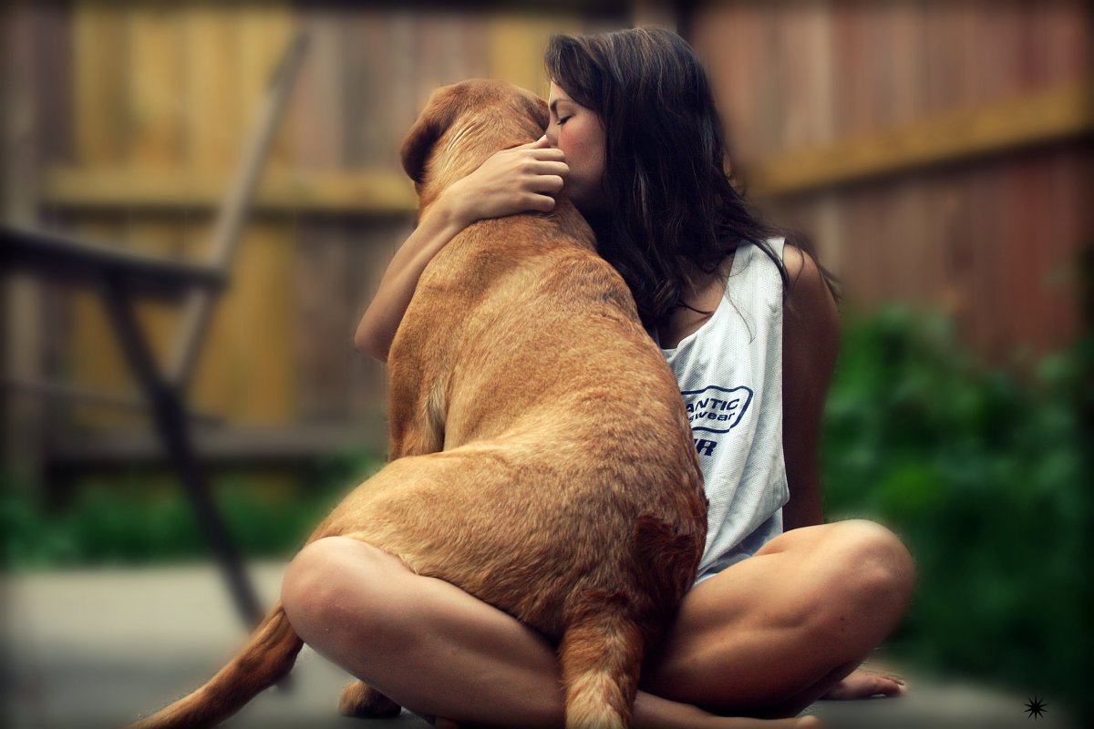 Потеря питомца