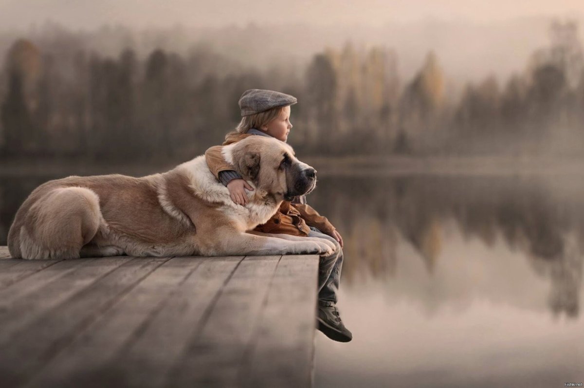 Elena Shumilova фотограф