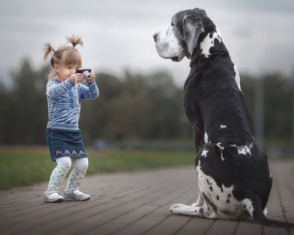 Собака друг человека