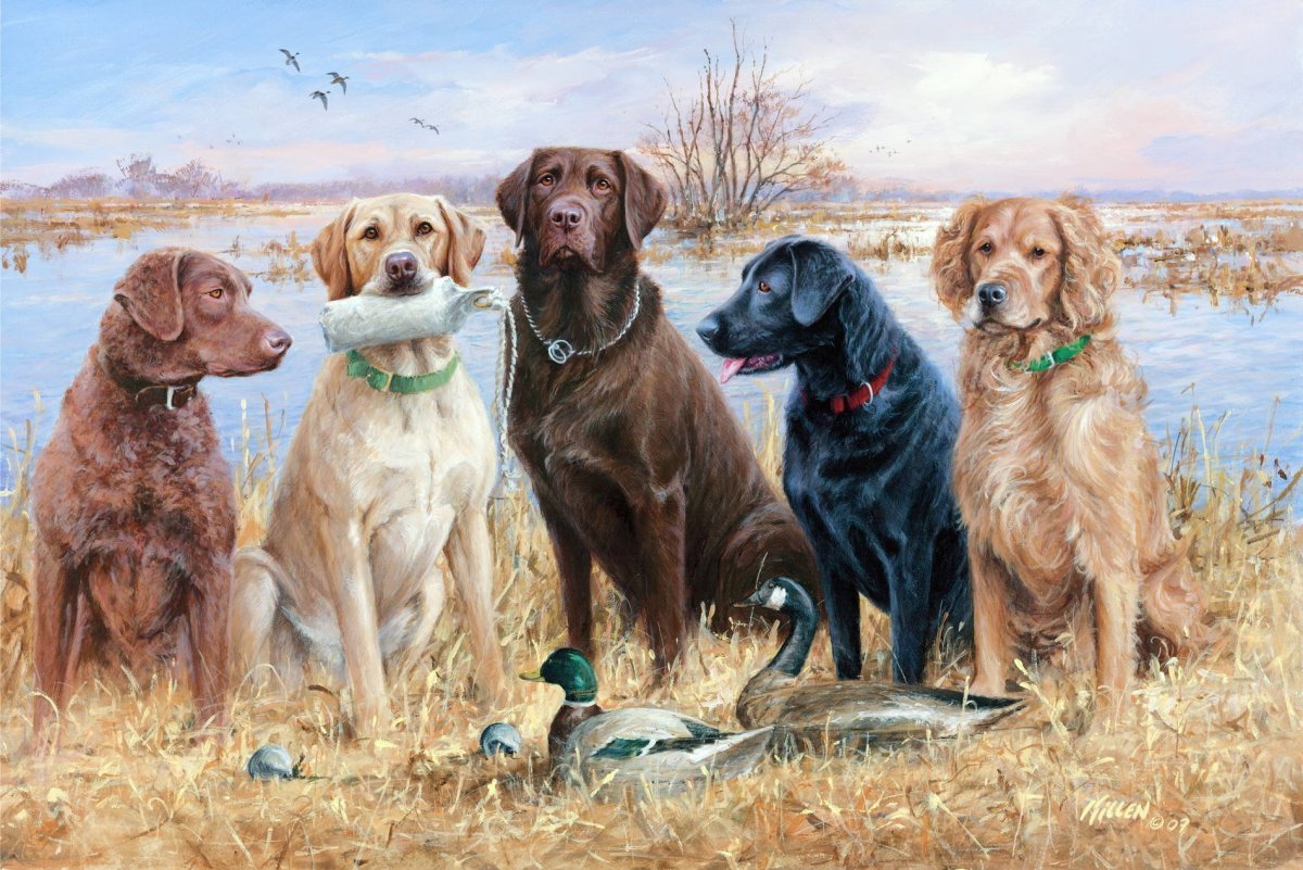 Джим Киллен