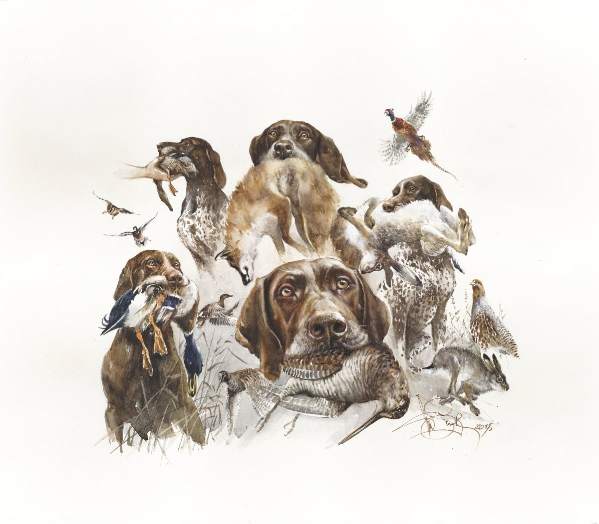 Курцхаар в живописи охота