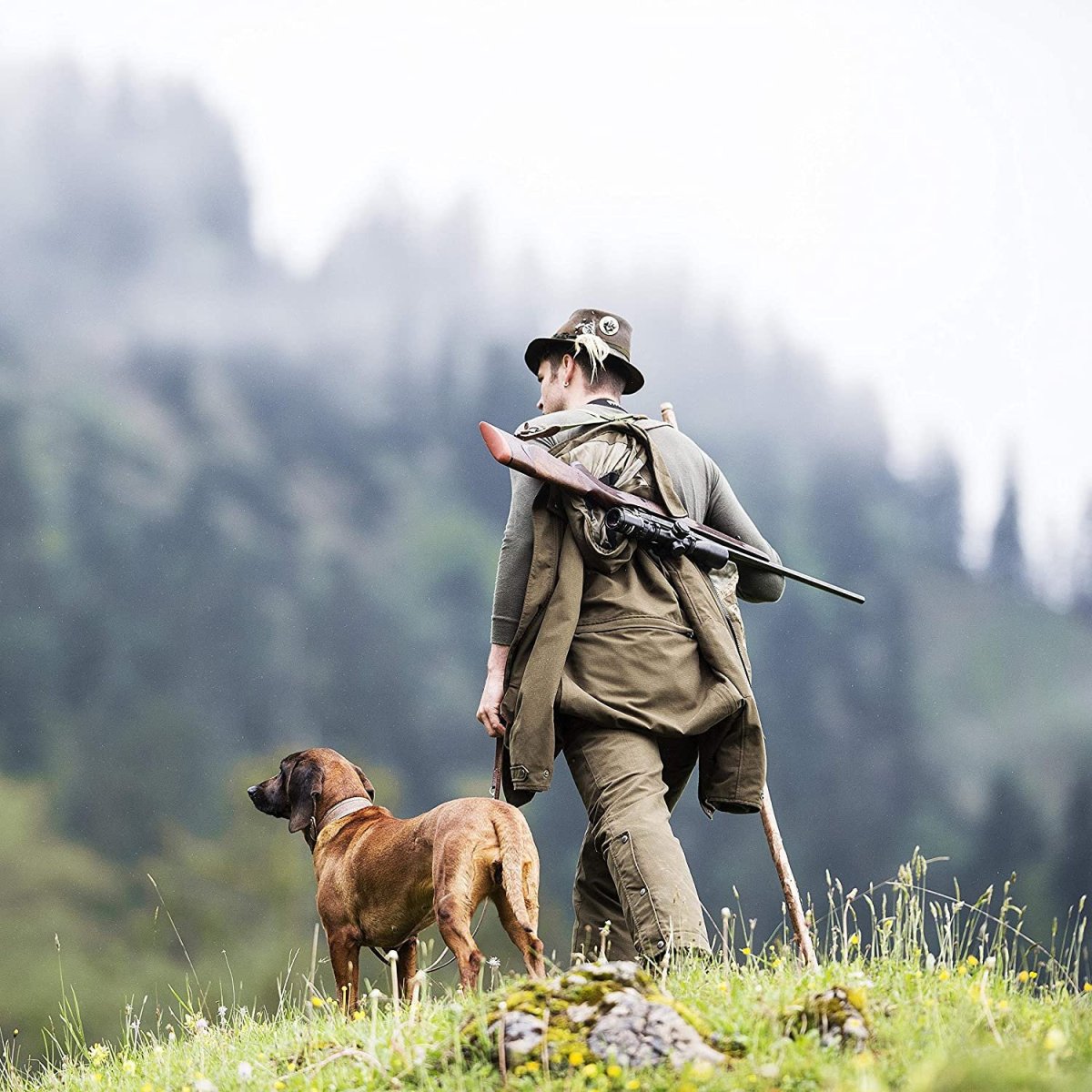 Дратхаар охота на утку