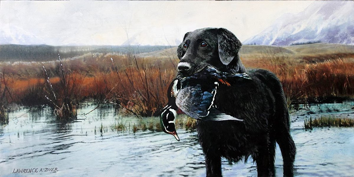 Охотник охотится