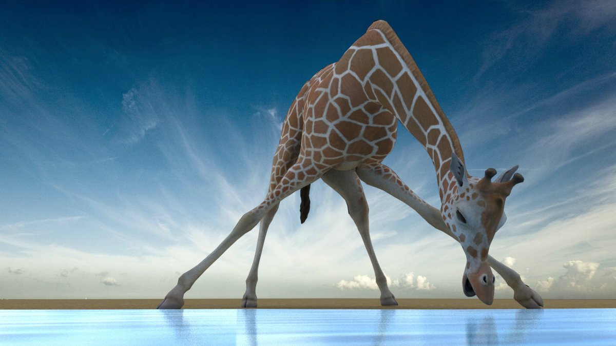 Жираф в самолете