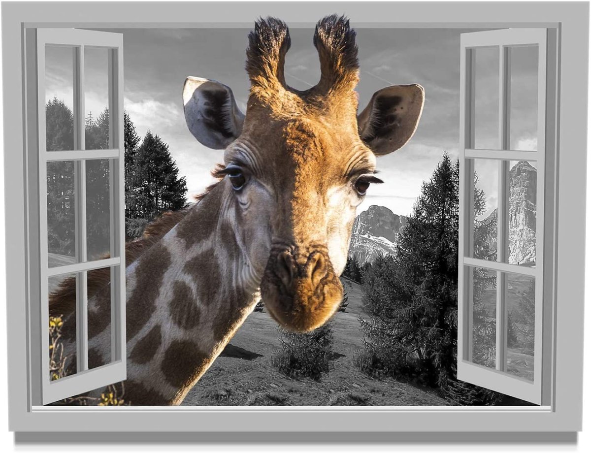 Смешные самолеты