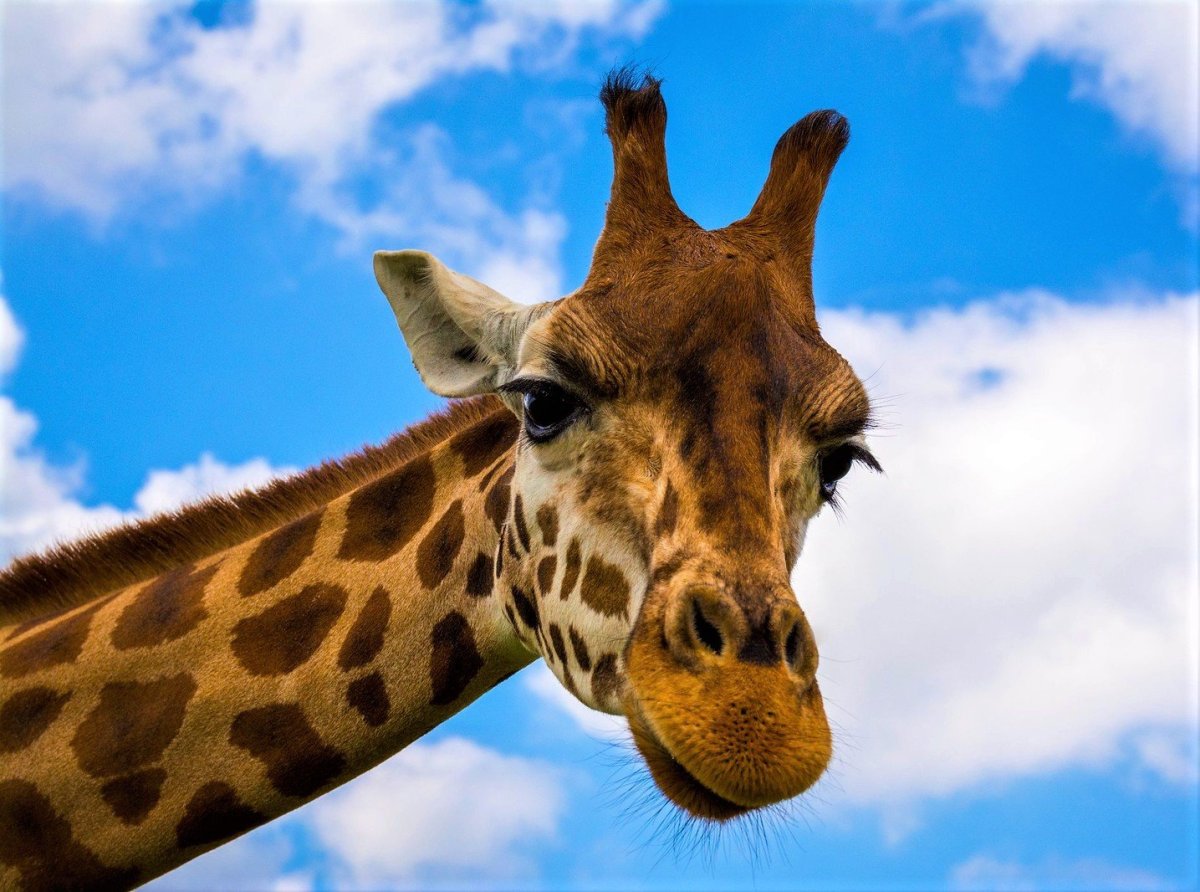 Иллюминатор космос