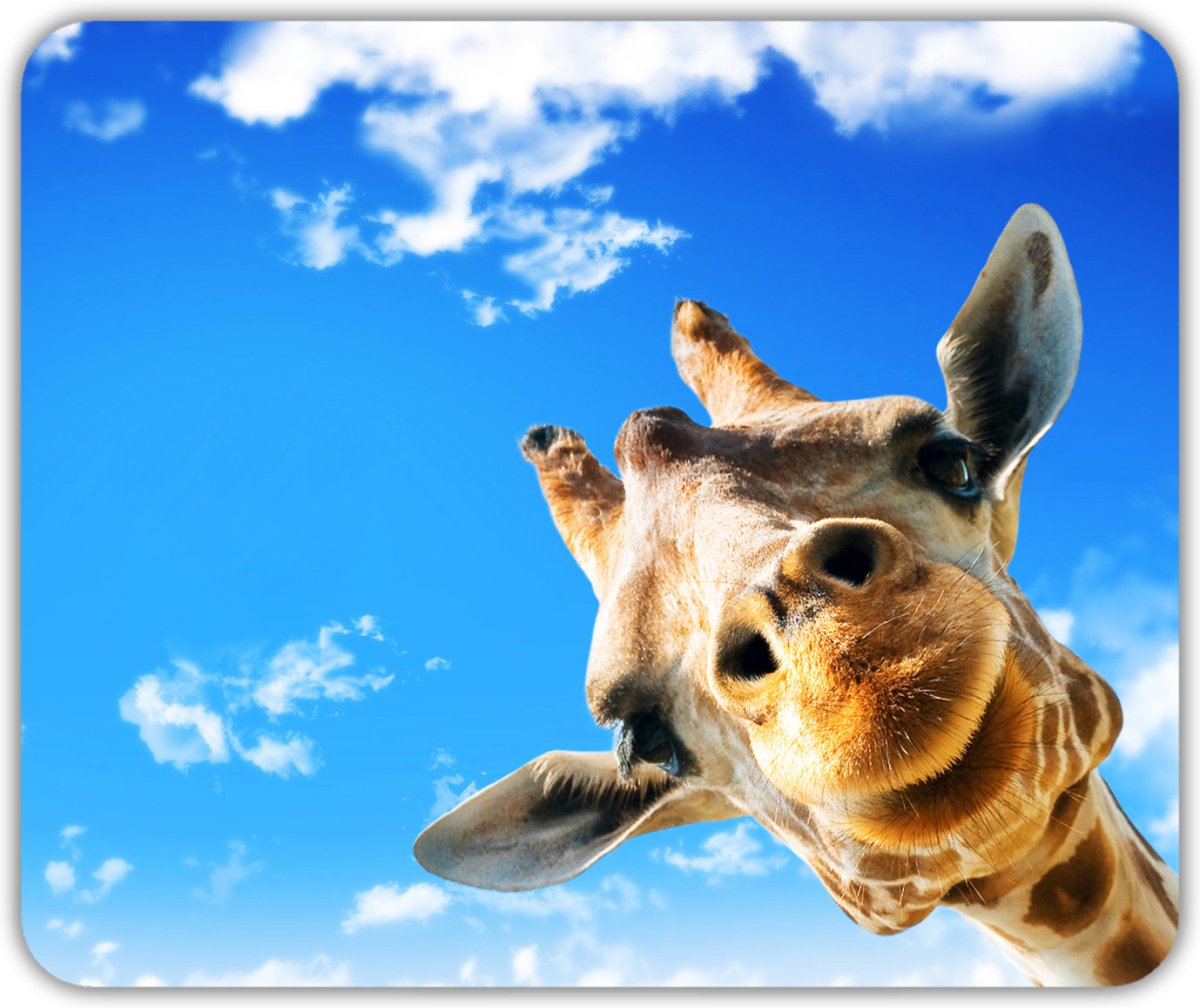 Саблезубый Жираф