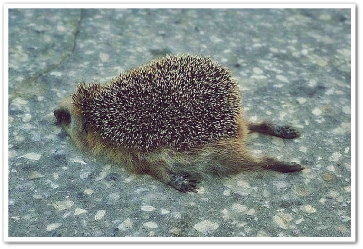 Есть цель иду к ней