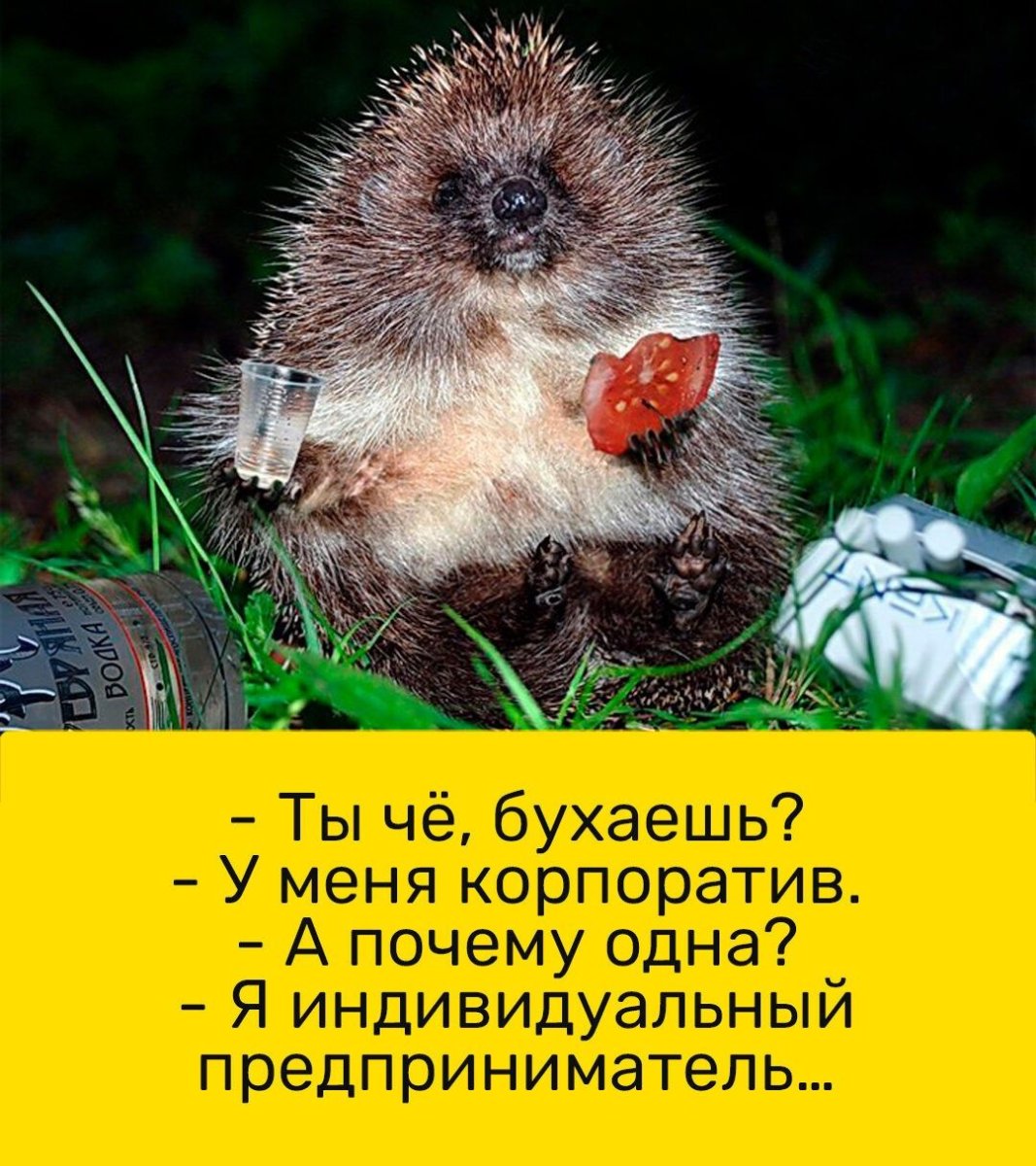 Брутальный Ежик