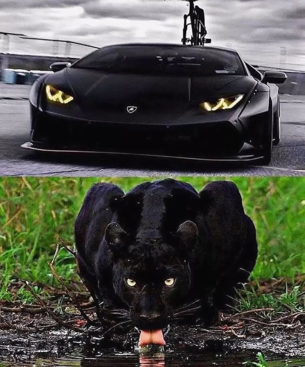 Ламборгини Ягуар