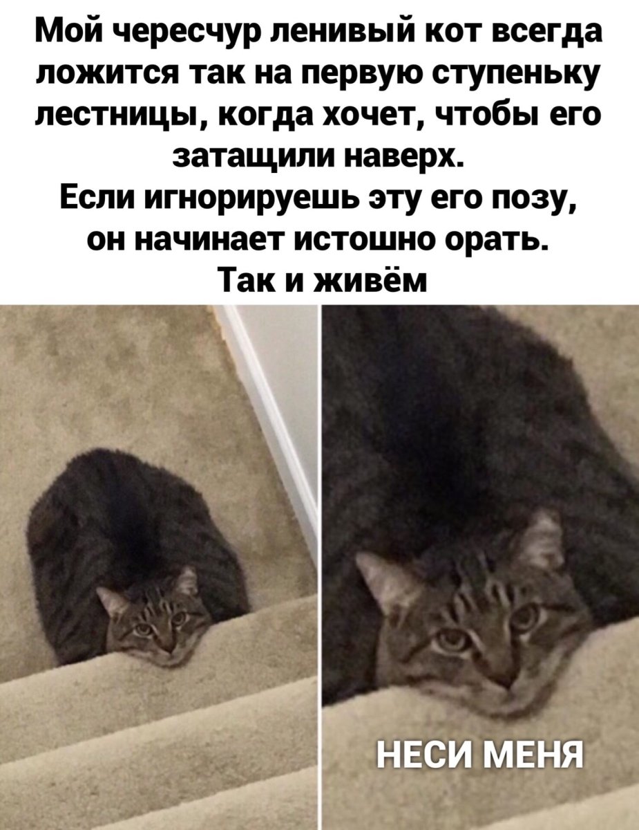 Утренние потягушки