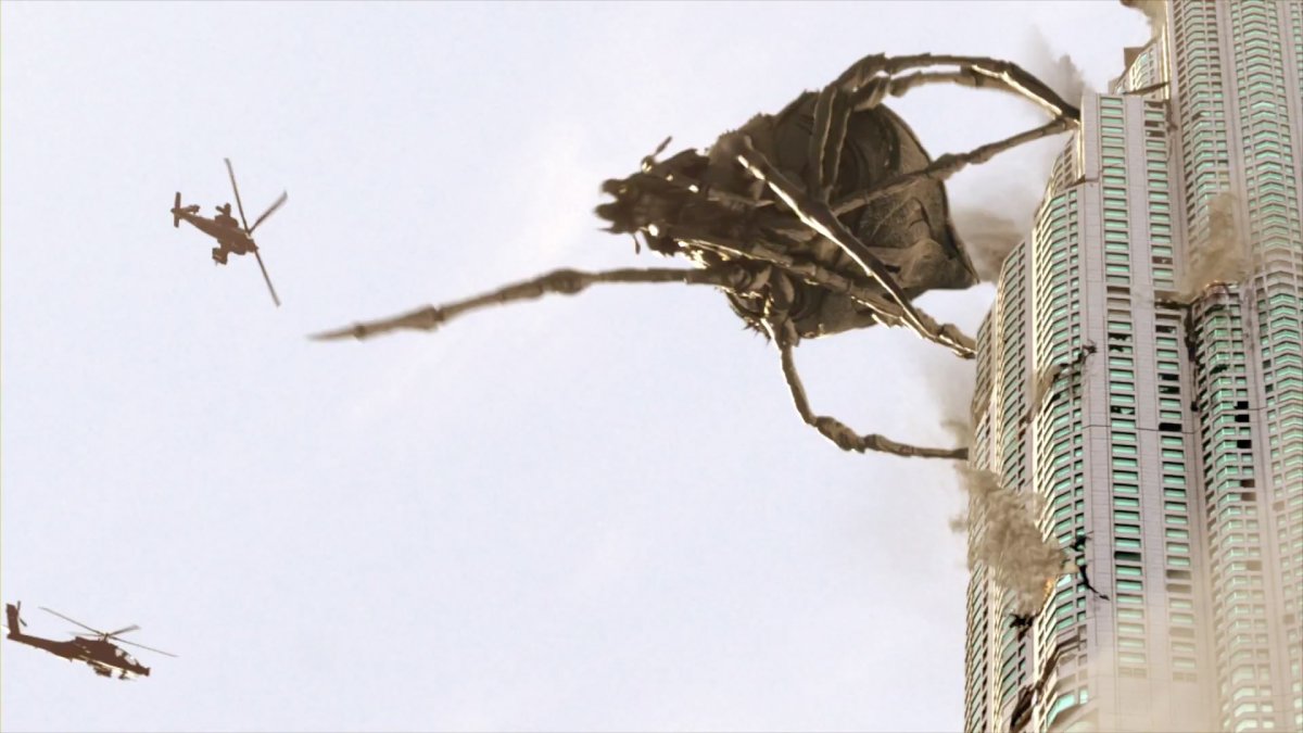 Пауки пустыни Каракум