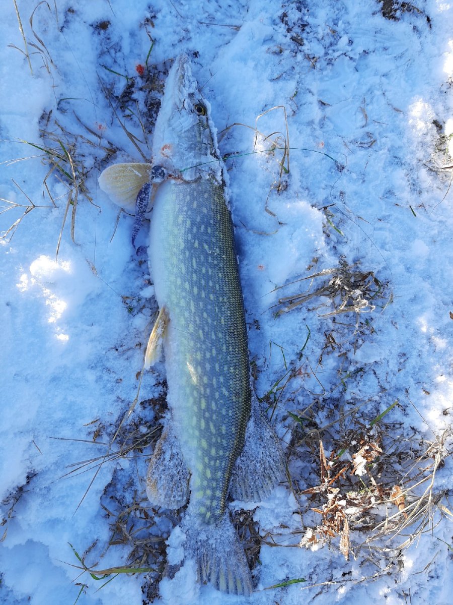 Озеро Алабуга рыбалка на форель