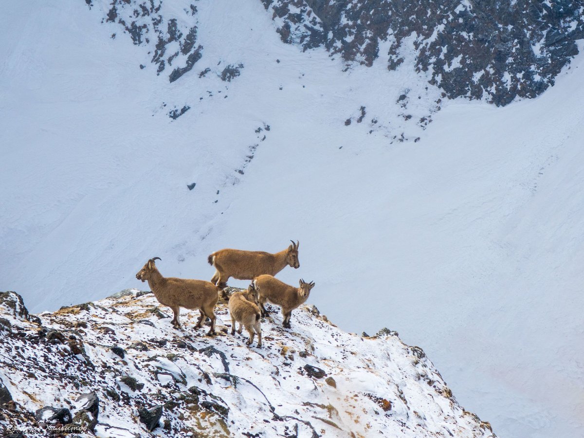 Национальный парк Приэльбрусье зимой